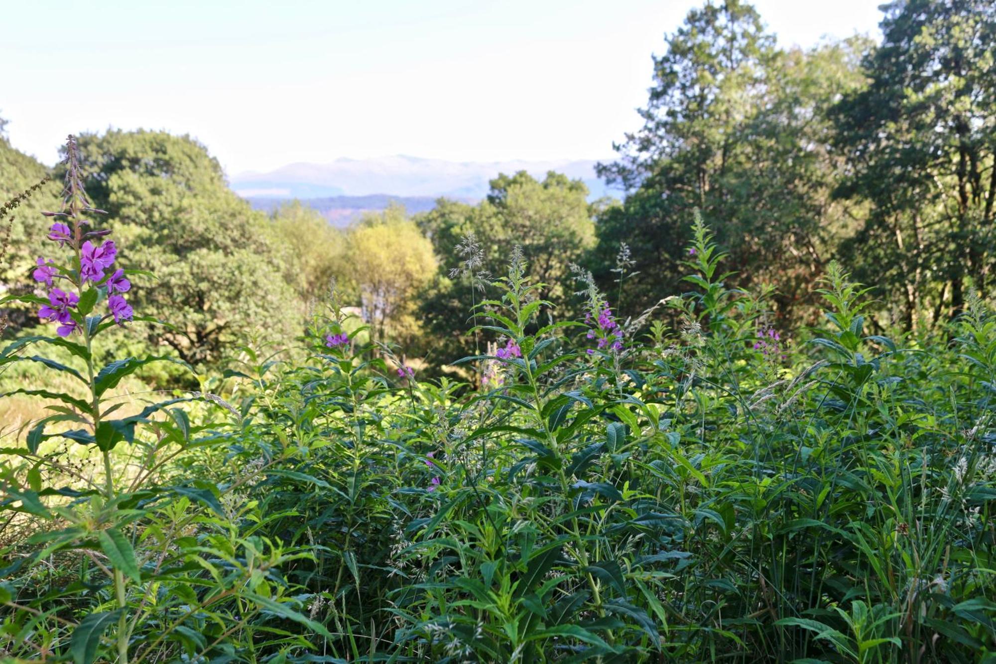 Inverskilavulin Estate Lodges Fort William Kültér fotó